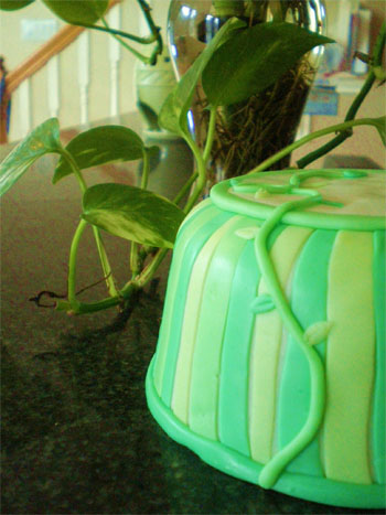 plant-cake