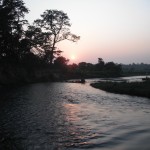 view of the river from our elephant safari- we actually crossed this river