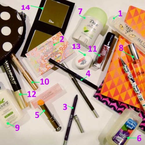 Sapna What's In Your Bag- (1) (1)