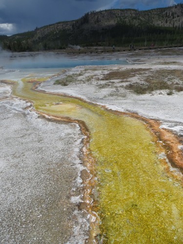 yellowstone national park