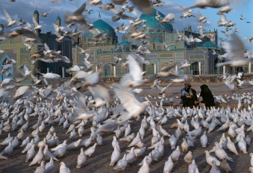 Blue Mosque, Mazar i Sharif, Afghanistan, 1991, 1992"Doves in front of Mazar-e Sharif's famous 'Blue Mosque,' the Tomb of Hazrat Ali. Revered by Muslims as the tomb of the son-in-law of the Prophet Mohammed, this 15th-century mosque near the border of Uzbekistan is named for the cobalt blue and turquoise colors of its minarets and domes. Mazar-e Sharif, Afghanistan, 1991."- George Eastman House"The white doves are a tourist attraction for Afghans. They are fed and cared for by travelers - by traders and farmers who come to market, and by residents of the northern region who come to the city to pray at the large mosque. In a country not given to leisure travel, the doves provide a symbol of peace." - Phaidon 55NYC5926, MCS1994002 K046 final print_milan