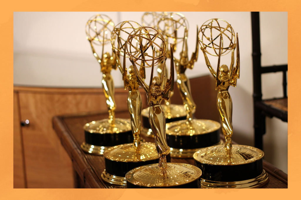 south asian emmy